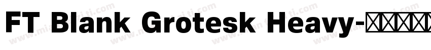 FT Blank Grotesk Heavy字体转换